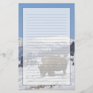 USA, WY, Yellowstone NP, Amerikansk bison Bison Brevpapper