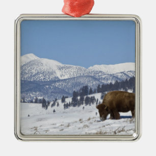 USA, WY, Yellowstone NP, Amerikansk bison Bison Julgransprydnad Metall