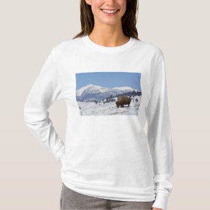 USA, WY, Yellowstone NP, Amerikansk bison Bison T-shirt