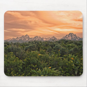 USA, Wyoming, Grand Teton National Park 1 Musmatta