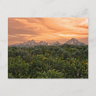 USA, Wyoming, Grand Teton National Park 1 Vykort
