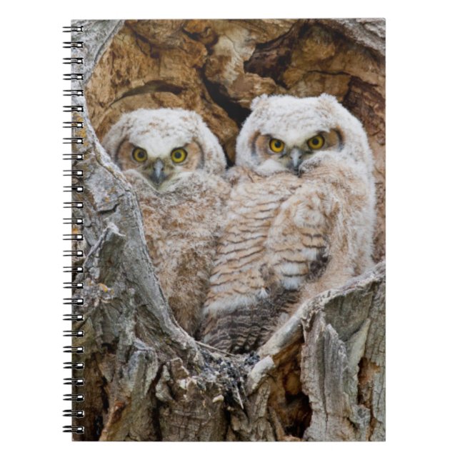 USA, Wyoming, Grand Teton National Park Anteckningsbok Med Spiral (Framsidan)