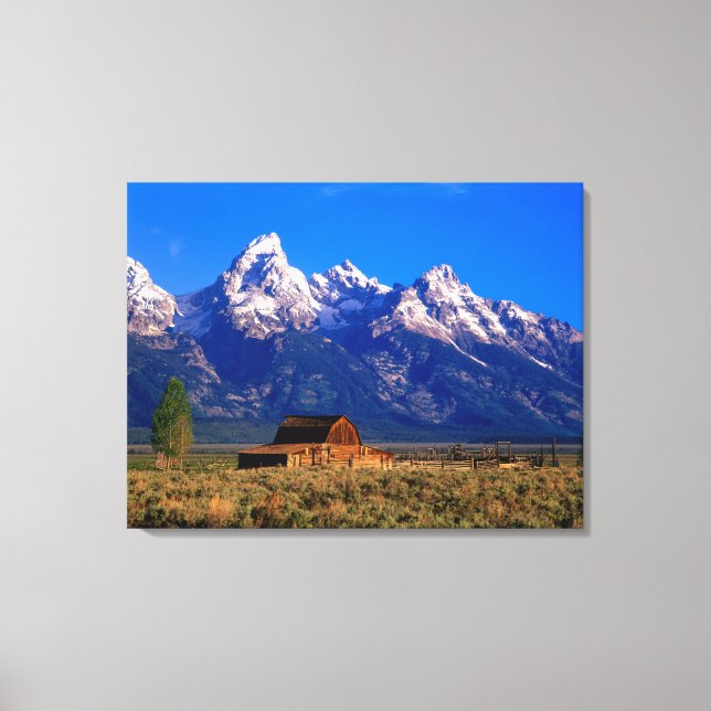 USA, Wyoming, Grand Teton National Park, God morgo Canvastryck (Framsida)