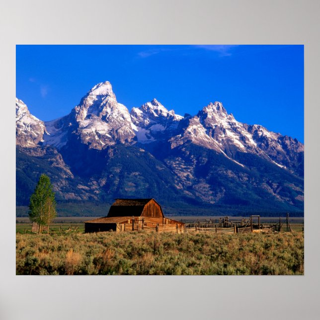USA, Wyoming, Grand Teton National Park, God morgo Poster (Framsidan)