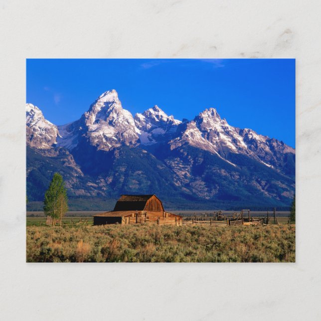 USA, Wyoming, Grand Teton National Park, God morgo Vykort (Framsida)