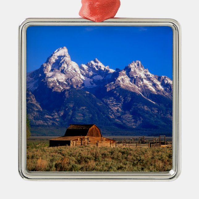 USA, Wyoming, Grand Teton National Park Julgransprydnad Metall (Framsidan)
