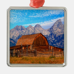USA, Wyoming, Grand Teton National Park. Julgransprydnad Metall