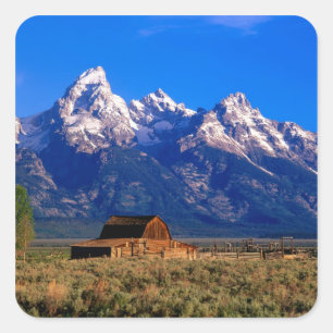 USA, Wyoming, Grand Teton National Park, Morgon Fyrkantigt Klistermärke