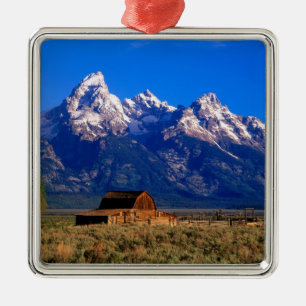 USA, Wyoming, Grand Teton National Park, Morgon Julgransprydnad Metall