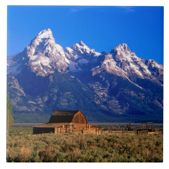 USA, Wyoming, Grand Teton National Park, Morgon Kakelplatta (Framsidan)