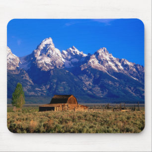 USA, Wyoming, Grand Teton National Park, Morgon Musmatta