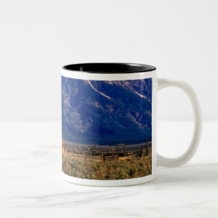 USA, Wyoming, Grand Teton National Park, morgon Två-Tonad Mugg