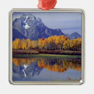 USA, Wyoming, Grand Teton National Park. Mt. Julgransprydnad Metall
