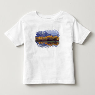 USA, Wyoming, Grand Teton National Park. Mt. T-shirt