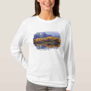 USA, Wyoming, Grand Teton National Park. Mt. T-shirt