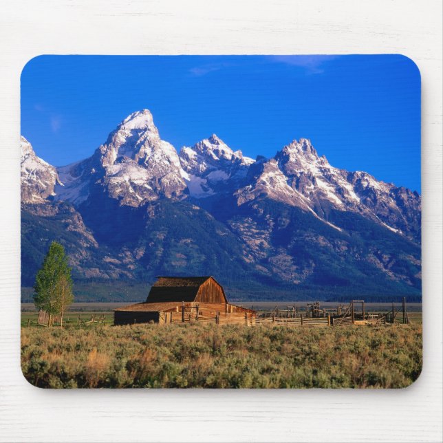 USA, Wyoming, Grand Teton National Park Musmatta (Framsidan)