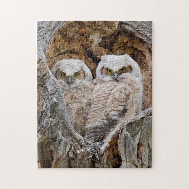 USA, Wyoming, Grand Teton National Park Pussel (Vertikal)