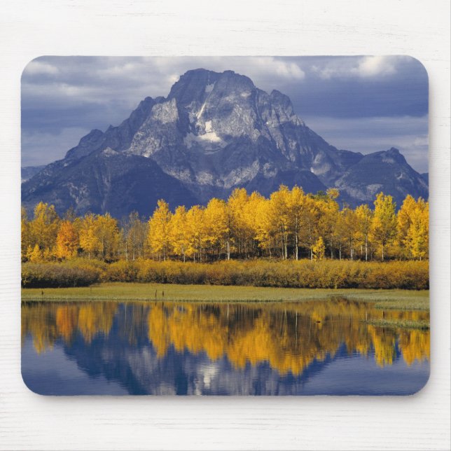 USA, Wyoming, Grand Teton NP. Mot Musmatta (Framsidan)