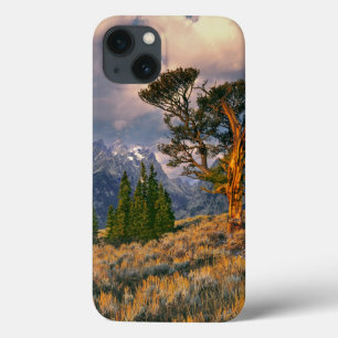 USA, Wyoming, Grand Teton NP. Soluppgången möter e