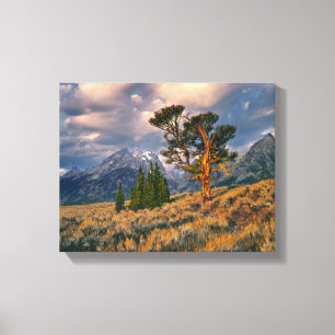 USA, Wyoming, Grand Teton NP. Soluppgången möter e Canvastryck