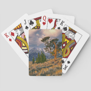 USA, Wyoming, Grand Teton NP. Soluppgången möter e Casinokort