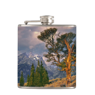 USA, Wyoming, Grand Teton NP. Soluppgången möter e Fickplunta