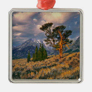 USA, Wyoming, Grand Teton NP. Soluppgången möter e Julgransprydnad Metall