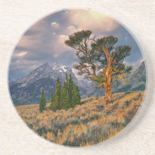 USA, Wyoming, Grand Teton NP. Soluppgången möter e Underlägg Sandsten