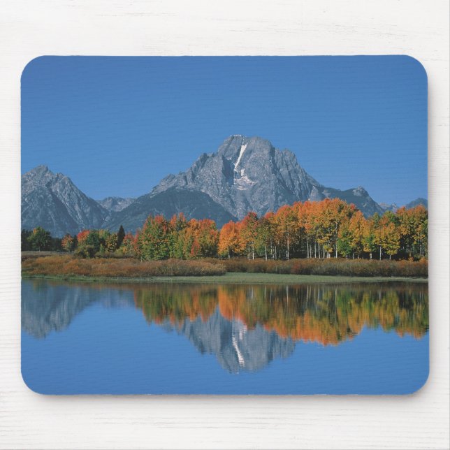 USA, Wyoming, Grand Tetons National Park i 4 Musmatta (Framsidan)