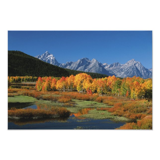 USA, Wyoming, Grand Tetons National Park i Fototryck (Framsidan)