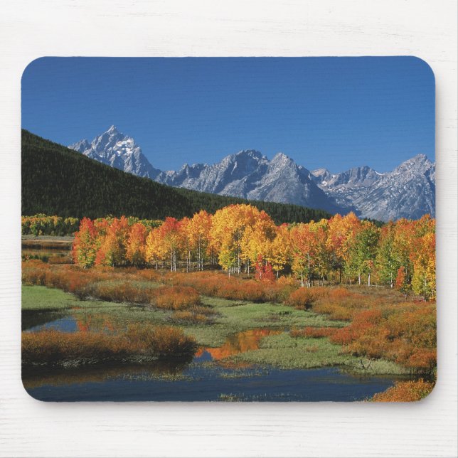 USA, Wyoming, Grand Tetons National Park i Musmatta (Framsidan)
