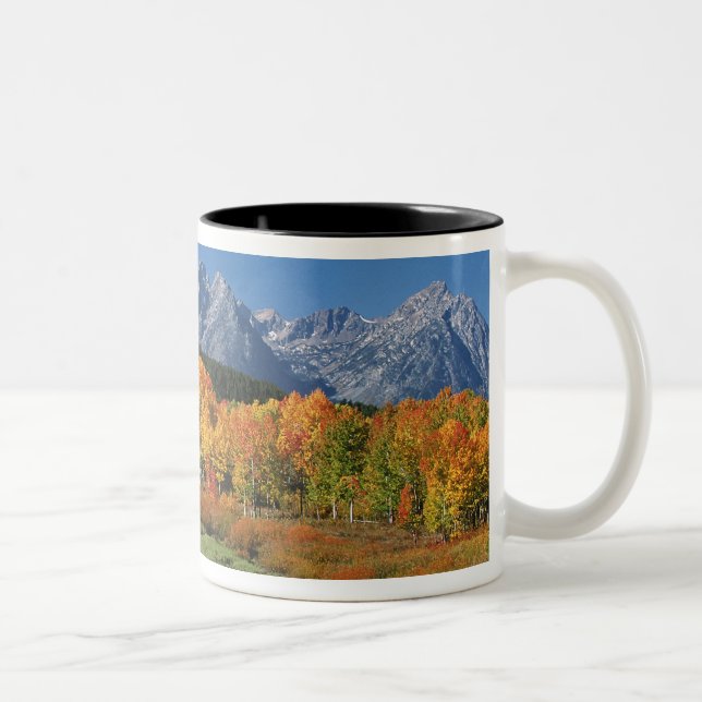 USA, Wyoming, Grand Tetons National Park i Två-Tonad Mugg (Höger)