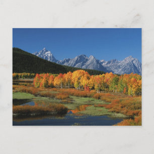 USA, Wyoming, Grand Tetons National Park i Vykort