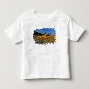 USA, Wyoming, Grand Tetons Nationalpark i T Shirt