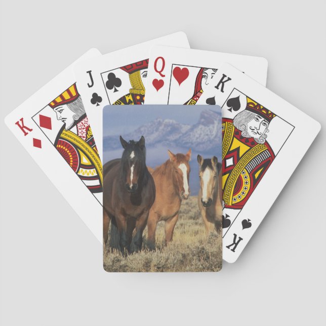 USA, Wyoming, nära Cody Grupp av hästar Spel Kort (Baksidan)