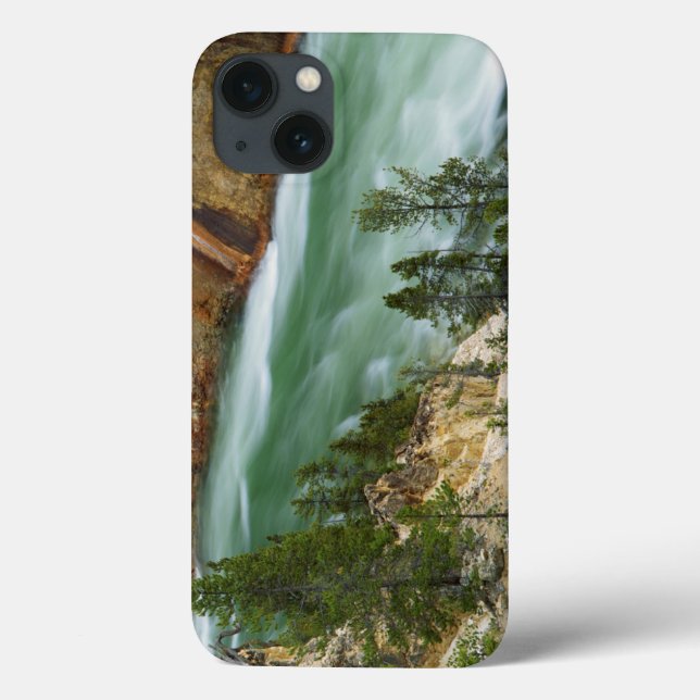 USA, Wyoming, Yellowstone National Park (Baksida)