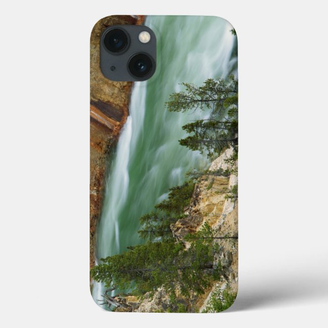 USA, Wyoming, Yellowstone National Park (Baksida)