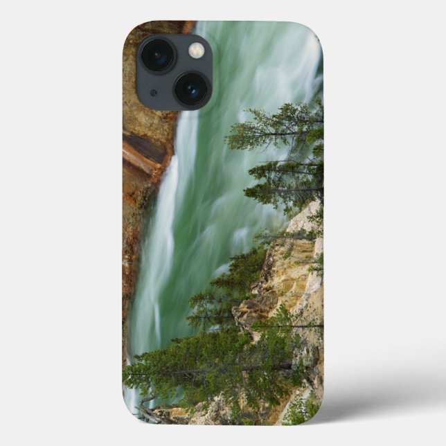 USA, Wyoming, Yellowstone National Park (Baksida)