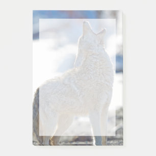 USA, Wyoming, Yellowstone National Park, Coyote Post-it Block