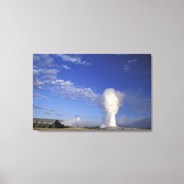 USA, Wyoming. Yellowstone National Park. Gammal Canvastryck (Framsida)