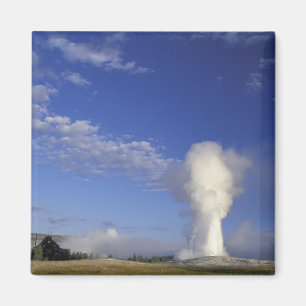 USA, Wyoming. Yellowstone National Park. Gammal Magnet