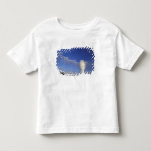 USA, Wyoming. Yellowstone National Park. Gammal T-shirt