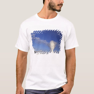 USA, Wyoming. Yellowstone National Park. Gammal Tee