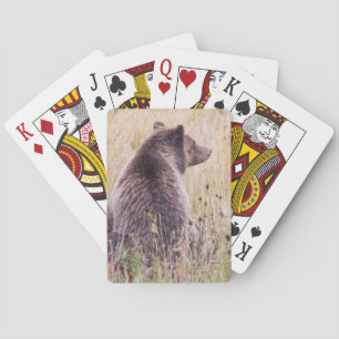 USA, Wyoming, Yellowstone National Park, Grizzly 2 Casinokort