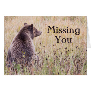 USA, Wyoming, Yellowstone National Park, Grizzly 2 Hälsningskort