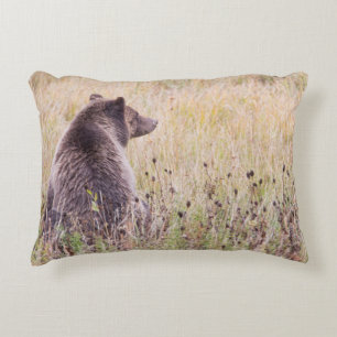 USA, Wyoming, Yellowstone National Park, Grizzly 2 Prydnadskudde