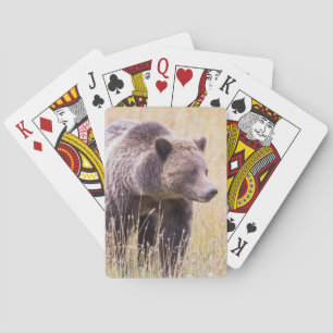 USA, Wyoming, Yellowstone National Park, Grizzly 3 Casinokort