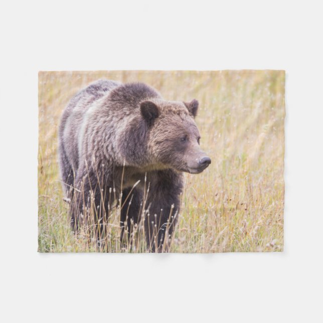 USA, Wyoming, Yellowstone National Park, Grizzly 3 Fleecefilt (Framsidan (Horisontell))