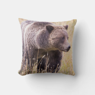 USA, Wyoming, Yellowstone National Park, Grizzly 3 Kudde