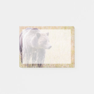 USA, Wyoming, Yellowstone National Park, Grizzly 3 Post-it Block
